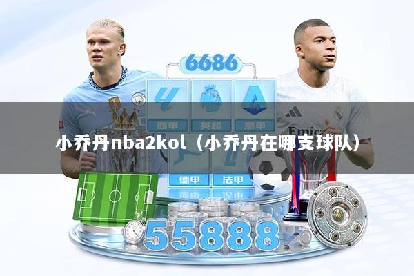 小乔丹nba2kol（小乔丹在哪支球队）