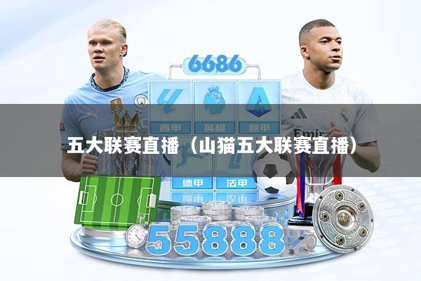 五大联赛直播（山猫五大联赛直播）